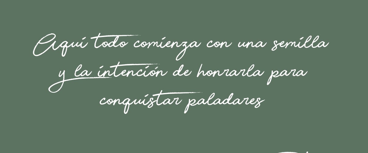 slide4